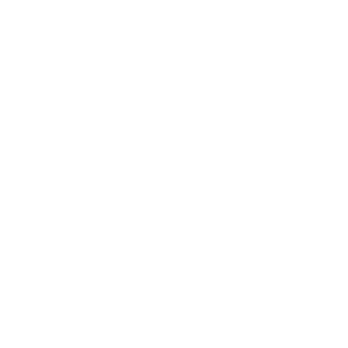 feature-item-3